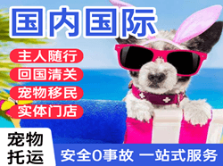 拉萨贡嘎空运代理国际宠物托运 【国